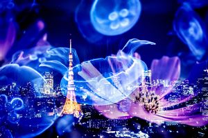 未来のイメージ